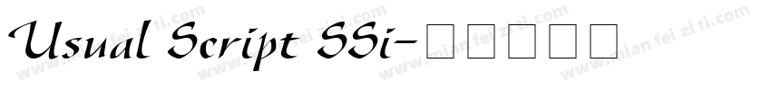 Usual Script SSi字体转换